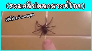 รวมคลิปตลกๆ : เเละนี่เเหละ!!!…คือทายาทสไปเดอร์เเมน~