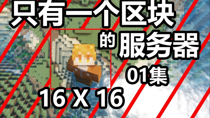 How to Survive on a Server with Just One Chunk? | Episode 01