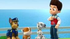 Paw Patrol And The Pups Cartoons Full Episode