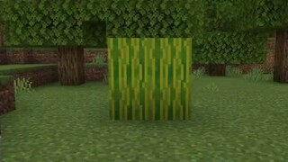 Minecraft transition