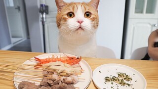 แมวและเจ้าของกินหม้อไฟเนื้อและอาหารทะเลด้วยกัน และมีความสุขราวกับเทพเจ้า!
