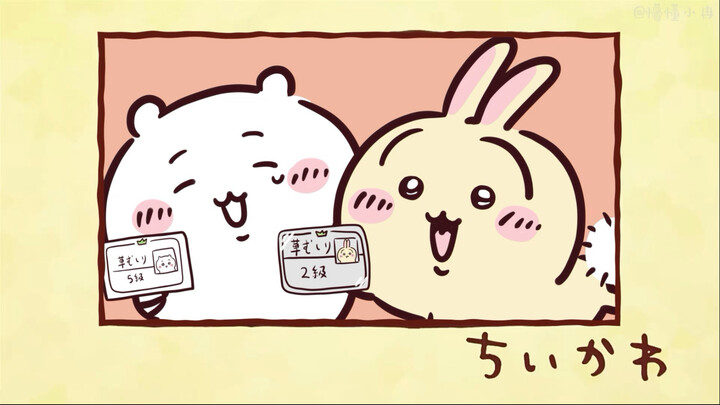 Chiikawa自制动画【新的除草证！】