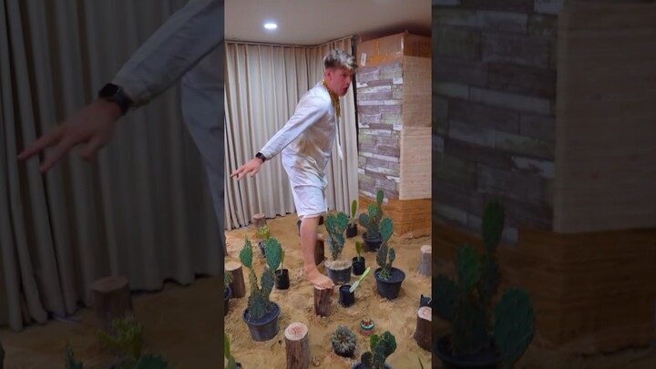 The floor is cactus 🌵