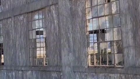 suzume in real life 💕