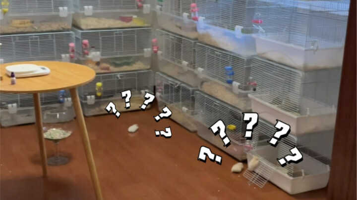 I’m speechless—my ten little babies all busted out of jail!