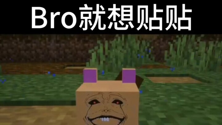 Minecraft: oh my pccc！#192