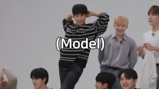 SEVENTEEN, nhưng ibuprofen