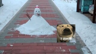 رجل الثلج: عذرًا، حدث توقف للتو