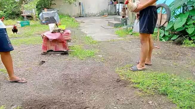 lebron bulik vs talisay ni tatay spar lang manga boss