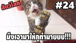 Ep.24 สัตว์โลกกวนตีน - [ พากย์นรก ] | easy boy