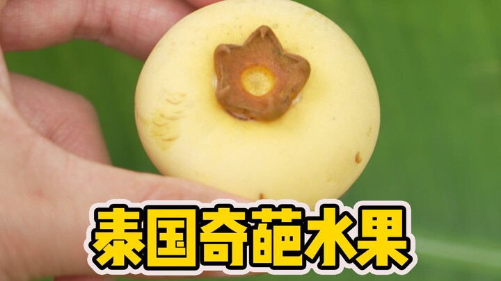[Hunter x Hunter] Du lịch Thái Lan nên thử những loại trái cây ít người biết nào?