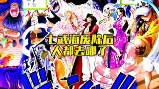 七武海废除后这些人都去哪了