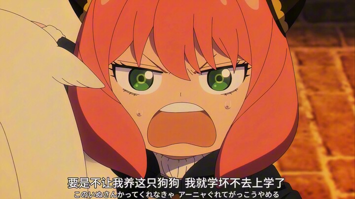 不让阿尼亚养大狗狗，就学坏不去上学了