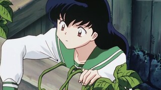 [InuYasha] Kagome's Melaleuca thường xuyên