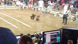 LCA 2 HITS ULUTAN 10/07/23 #6