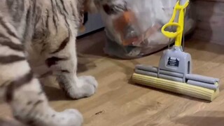 Chicken stew~ Chicken stew~ Passing through my stomach~