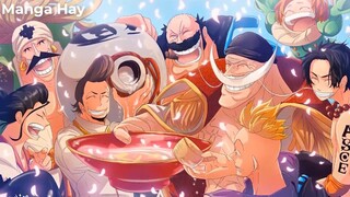 Sai Lầm Lớn Nhất Trong One Piece - Ace Hủy Diệt Mọi Thứ Như Thế Nào-P2