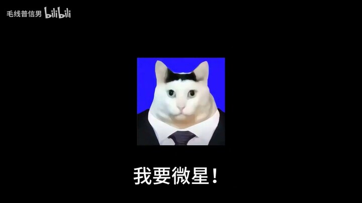微星华硕全收集至尊版，我事白金奖杯