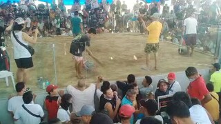 win#1 at cardona cockpet arena