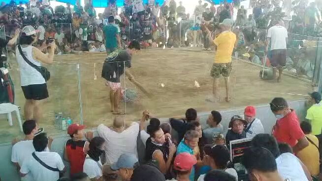 win#1 at cardona cockpet arena