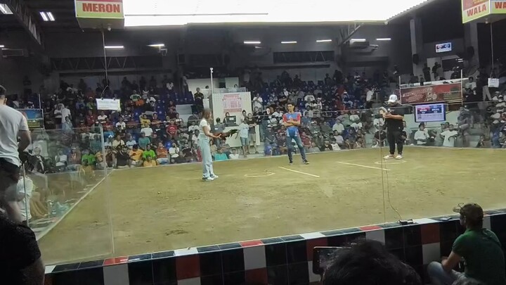 Firebird Angels vs Jet Sweater