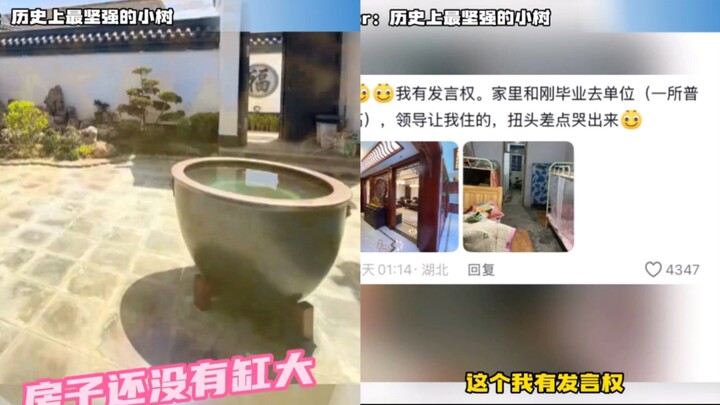 Netizens share photos of their rented apartments and their homes—neither is as big as the yard back 