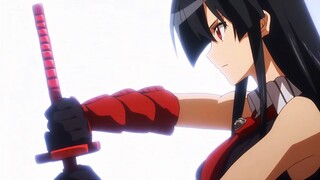 Akame Ga Kill OP / Opening 2 | 4K | 60FPS | Creditless