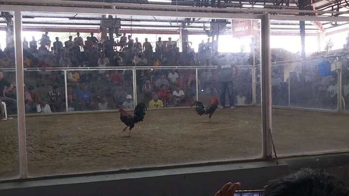 tibay nanaman kahit naunahan #win #goldenhand