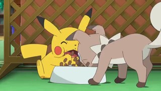 Pokemon sun and moon (ep9) Hindi