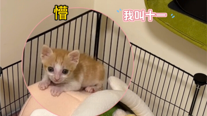 Why am I called Xiao Big Nose?