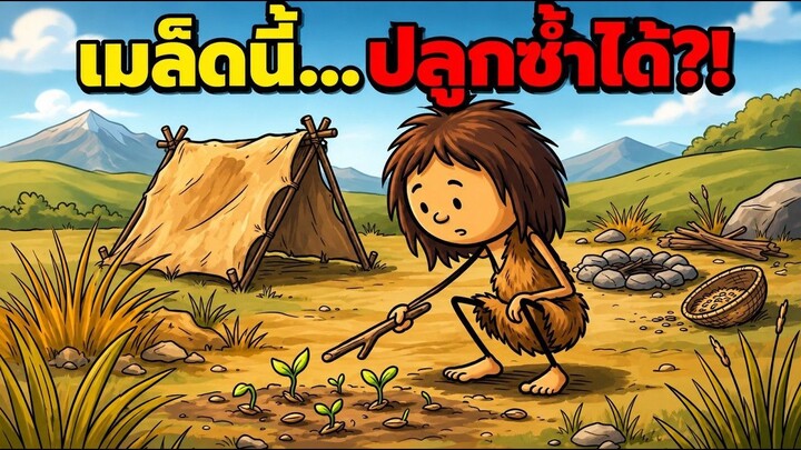 มนุษย์ยุคโบราณรู้ได้ยังไงว่า “เมล็ดพืช” ปลูกซ้ำได้?!
