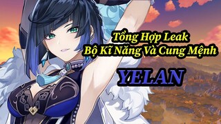 Tổng Hợp Thông Tin Leak Về Bộ Kĩ Năng Cũng Như Cung Mệnh YELAN!! | Genshin Impact