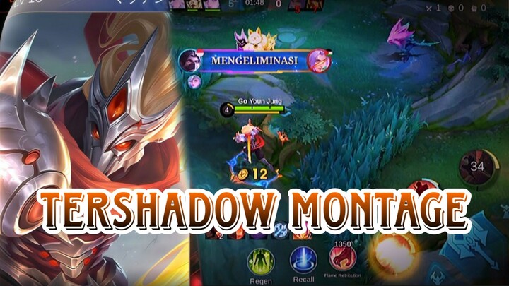 TERSHADOW MONTAGE