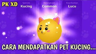 Cara mendapatkan Pet Kucing~PK XD bahasa Indonesia