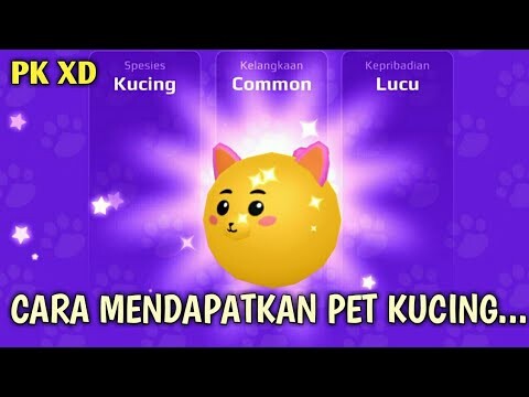 Cara mendapatkan Pet Kucing~PK XD bahasa Indonesia