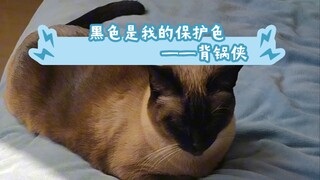 Những lời mắng mỏ mà tôi dành cho cô ấy đã hình thành nên một vòng lặp khép kín vào lúc này~