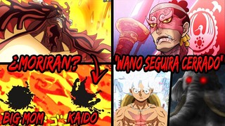 ¿ODA POR FIN MATARÁ? El Final de Kaido y Big Mom | MOMONOSUKE NO Abrirá Wano | ONE PIECE 1050