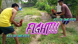 LEAP WARRIOR GF KELSO SWEATERS SPARRING!!      JRP BACKYARD