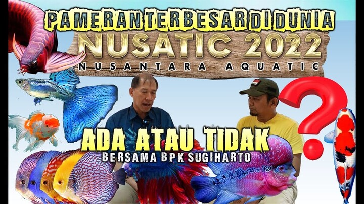 AKAN KAH PAMERAN TERBESAR DI DUNIA NUSATIC 2022-  ICE  BSD AKAN SELENGGARAKAN  ?