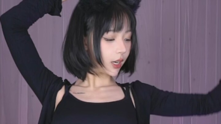 Little Meow 12.1