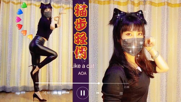 Little wild cat in leather pants and black high heels ~ I want to be your cat "Catwalk"