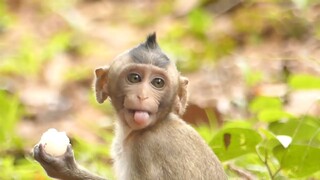 My Princes Baby Lola Look Camera Show Her Lip, Adorable Poor Baby Lola With Cute Face While Eating