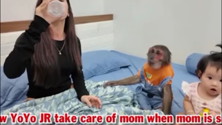 yoyo care here mom