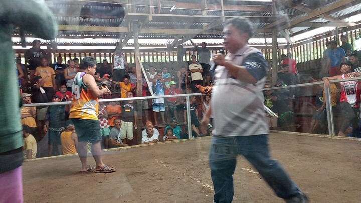 SIGBA Lateborn Edition 3 stag derby 1st fight vertical Butcher x GBS Win