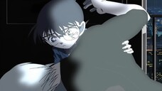 Thám Tử Lừng Danh Conan Movie 13 Truy Lùng Tổ Chức Áo Đen