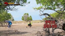 Law of the Jungle in Komodo [3] SUB INDO