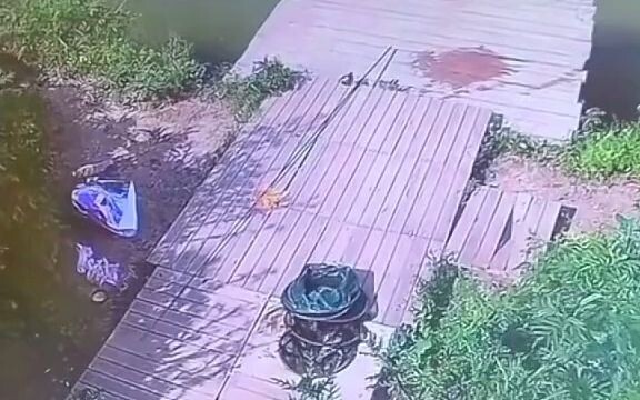 I can brag about this fish for a whole year after I take it home!