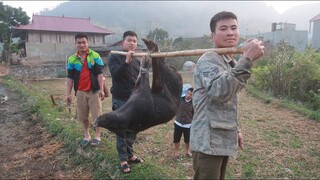 MỔ LỢN TẾT & TIẾT CANH ĐẶC BIỆT SIÊU NGON