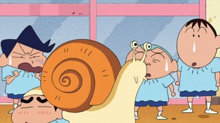 [Crayon Shin-chan] It suddenly rained in the kindergarten, Shin-chan cosplayed as a snail to liven u