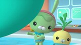 for the kids Octonauts - One Hour Special Compilation
